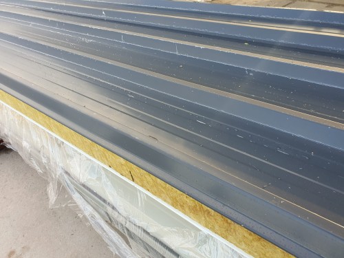 2023-10-02 07.56.17.jpg